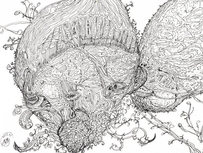 《染色体》系列-15 40X50cm  纸本 2016