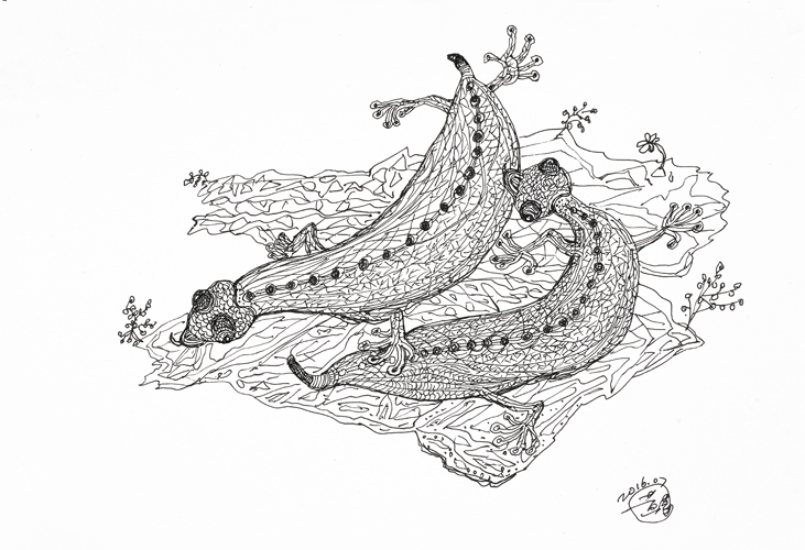《染色体》系列-17 40X50cm  纸本 2016