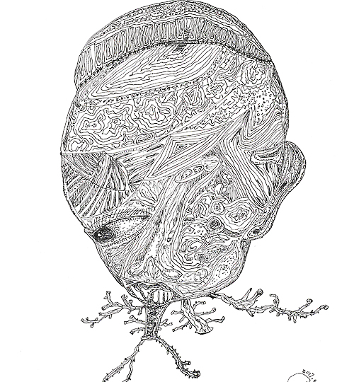 《染色体》系列-2 50X40cm  纸本 2016